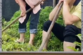 娱乐八卦吃瓜群众的