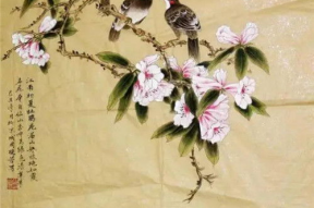 杜鹃啼血图片,悲鸣中的自然传奇